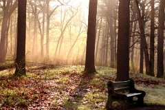photo 0004